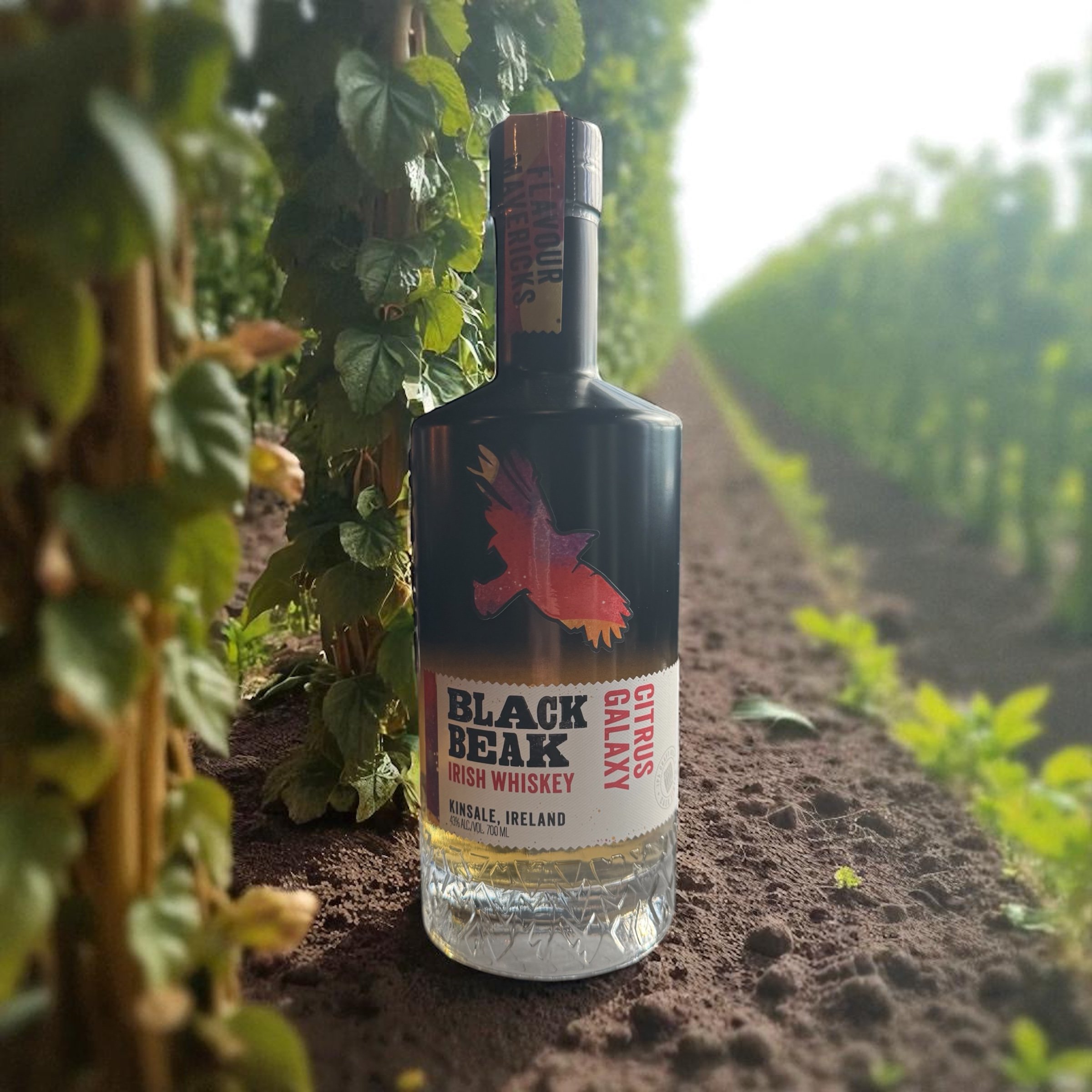 Photoroom_20251009_151904 Bottle of Black Beak Irish Whiskey, Citrus Galaxy flavor, displayed in a lush vineyard.